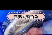 终极钓手手游攻略（成为顶级钓手的必备指南，让你捕获丰富海洋生物的终极秘籍！）