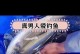 终极钓手手游攻略（成为顶级钓手的必备指南，让你捕获丰富海洋生物的终极秘籍！）