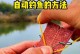 《热血江湖手游钓鱼升级攻略》（玩转热血江湖手游，轻松升级钓鱼技巧解析）