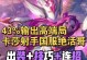 卡莎出装手游版攻略（零死角，卡莎最强出装推荐，助你称霸手游版战场！）