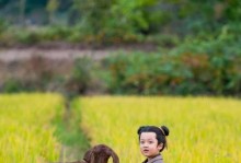 《剑网3指尖江湖》小七技能属性详解（小七的技能特点与使用技巧，让你轻松胜利！）