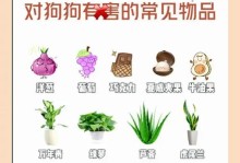 《完美国际手游宠物进阶攻略》（掌握进阶技巧，打造强力战斗伙伴）