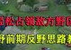 阿轲打野技巧教程（学会阿轲打野，享受刺客的酣畅淋漓）