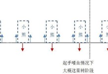 嗜血的索克攻略（用战术智慧与反应速度征服索克领域的关键技巧）