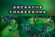 新版宫本上单出装打法攻略（揭秘宫本上单新版出装，助你登上巅峰）