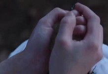 《雪鹰领主手游魔法攻略大全》（成为顶尖魔法师的秘籍与技巧）