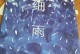 揭开谎言的秘密小屋攻略（解读谜团、探索真相，一步步逼近秘密的关键线索）