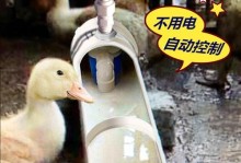 《鹅鸭杀锅炉房水管》攻略（以游戏为主，教你如何完成任务）