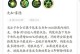 英雄杀秦琼出装攻略（带你掌握最佳出装策略，成为强力玩家）