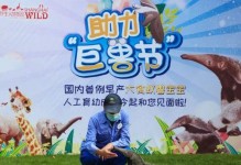河马奶爸出装攻略（打造强力辅助，帮助团队胜利）
