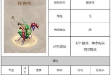 《老表问道手游攻略大全》（成为问道大侠的必备指南）
