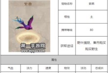 《问道手游十九级副本攻略》（解锁高级装备，轻松通关副本难关）