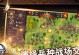 《中年危机游戏欧洲攻略手游》（挑战自我，重新定义生活——畅玩欧洲攻略手游重塑中年危机）