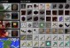 我的世界怎么放削皮,Minecraft中打造削皮生成器的实用指南